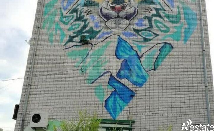 1-комн квартира улица В.И.Чаптынова, 22,  д. 22